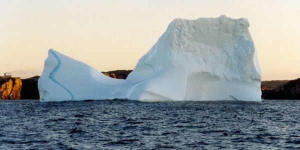 Iceberg near Twillingate, June 2000. Copyright © 2000, Edwin Neeleman
