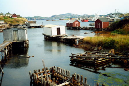 Twillingate. Copyright (c) 2000 Edwin Neeleman