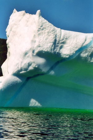 Iceberg near Conche, July 2002. Copyright © 2002, Edwin Neeleman