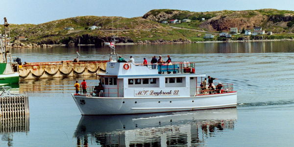 MV 'Daybreak' of Twillingate Adventure Tours. Copyright © Edwin Neeleman