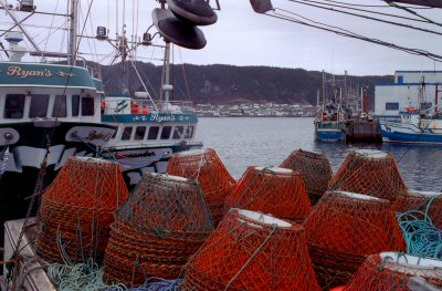 La Scie, mei 2004. Copyright (c) 2004, Edwin Neeleman