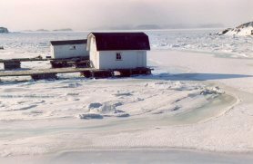 Twillingate, februari 2003